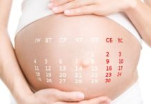 Калькулятор беременности и родов по неделям и дням калькулятор беременности и родов
